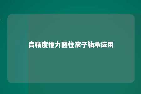 高精度推力圆柱滚子轴承应用 